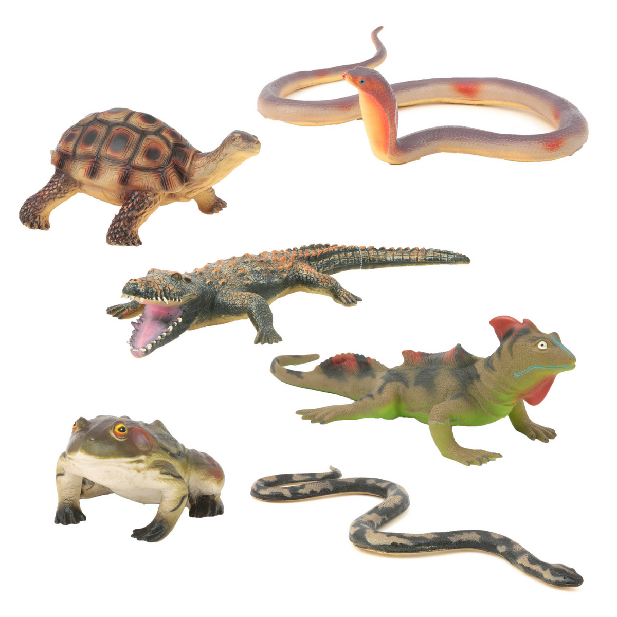 Anfibi morbidi hotsell