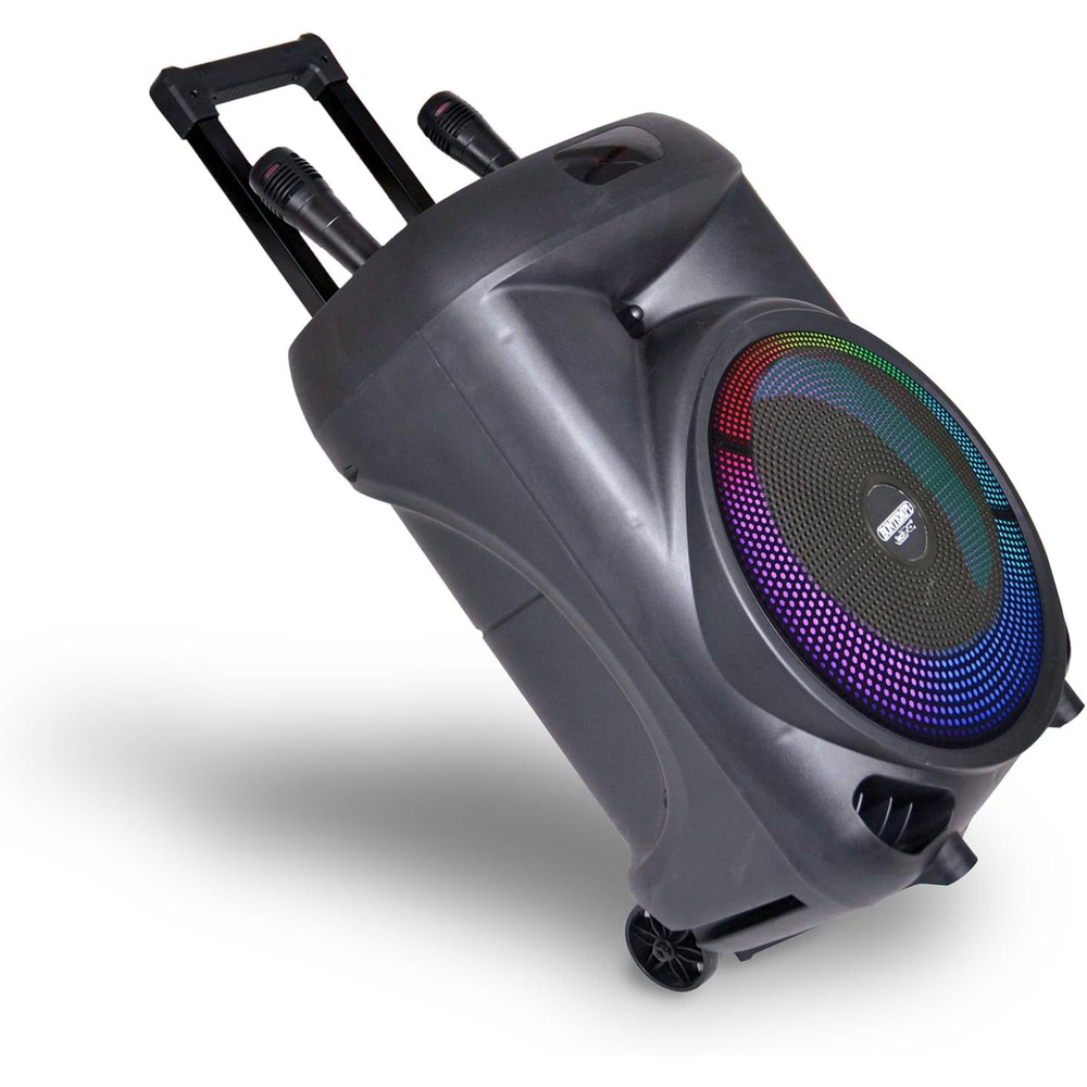 Amplificatore Trolley Karaoke con 2 Microfoni Wireless Bontempi