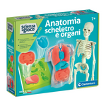 Anatomia Scheletro e Organi