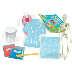 Anatomia Scheletro e Organi