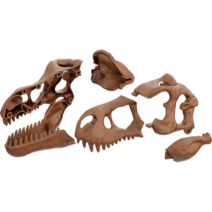 Archeogiocando T-Rex 2 in 1