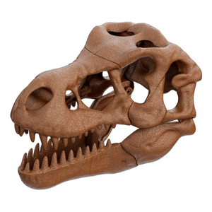 Archeogiocando T-Rex 2 in 1