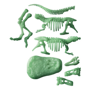 Archeogiocando Tirannosauro Rex