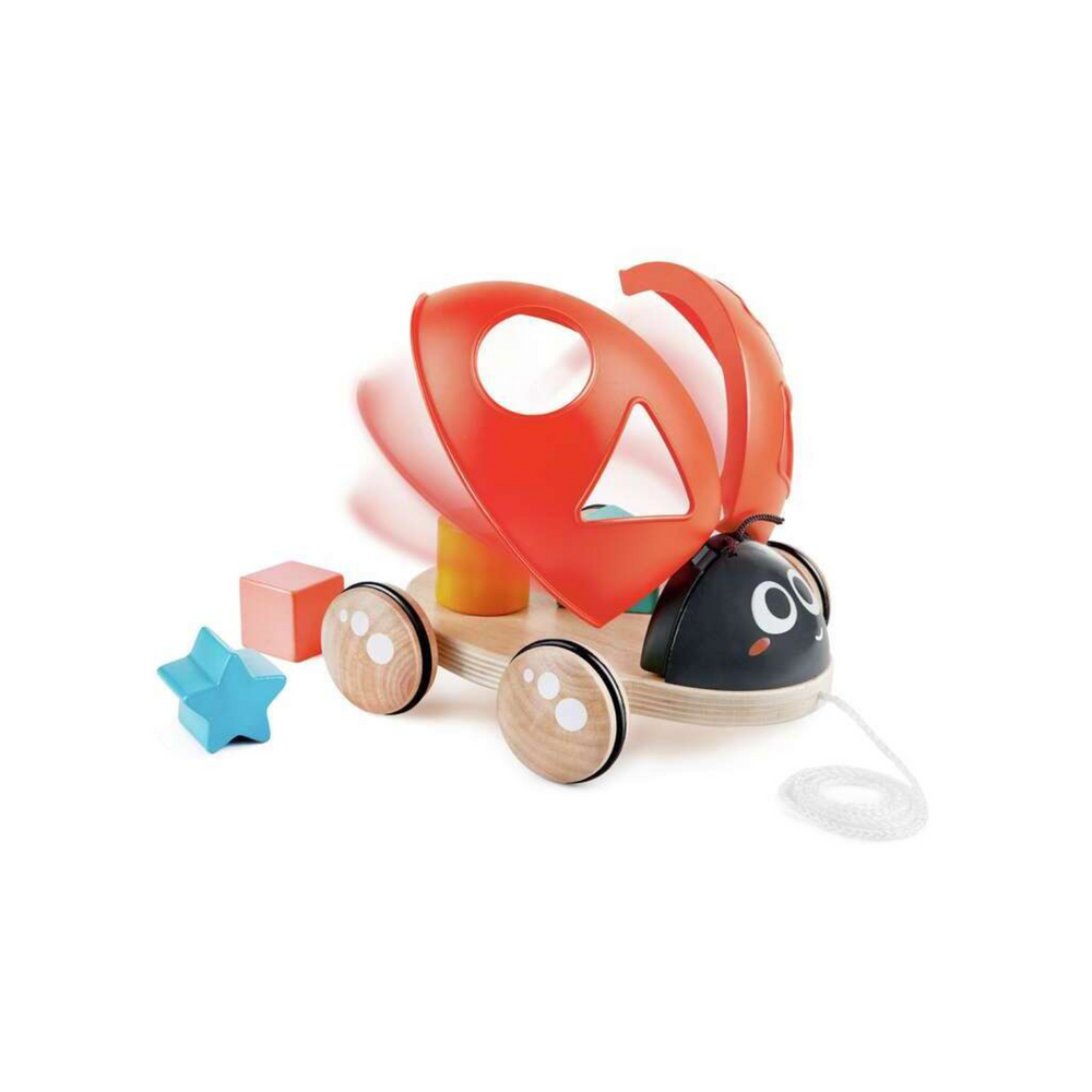 Coccinella Incastra Forme - Hape