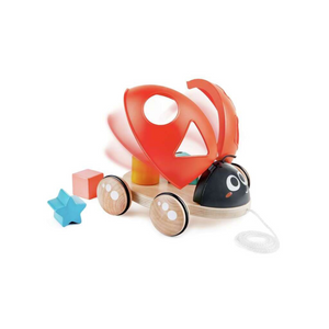 Coccinella Incastra Forme - Hape