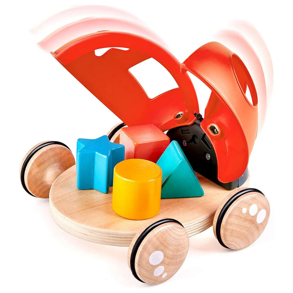 Coccinella Incastra Forme - Hape