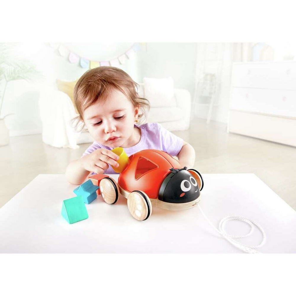 Coccinella Incastra Forme - Hape
