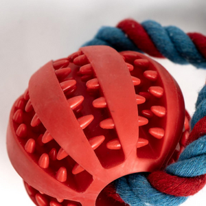 Giocattolo per cani in corda Spiderman