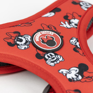 Pettorina per cani Minnie XXS/XS Reversibile