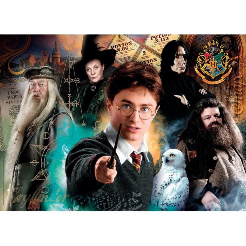 Puzzle 500 pezzi - Harry Potter
