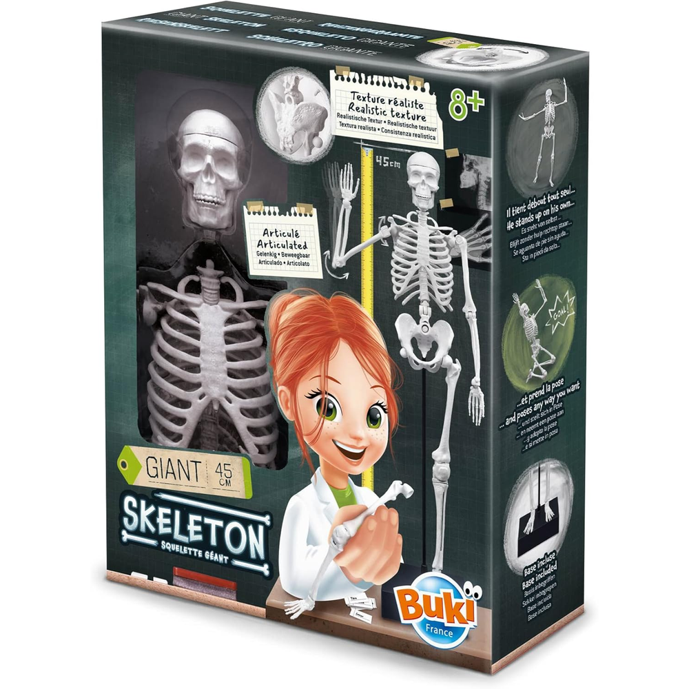 Scheletro 45 cm