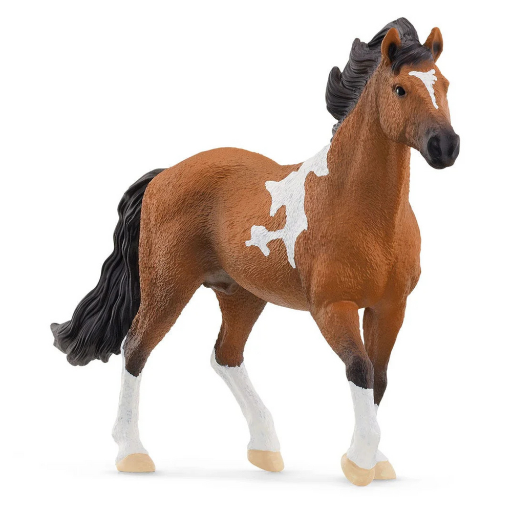 Schleich Stallone Mangalarga Marchador Horse Club 13978