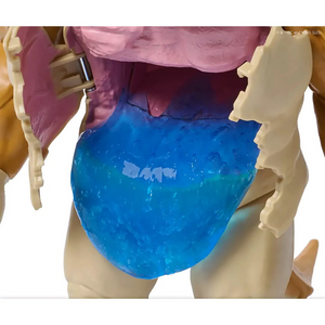 Superman vs. Kaiju con Slime