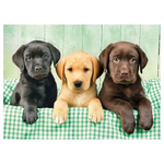 Puzzle 1000 pezzi - I tre Labrador