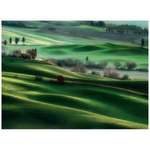 Puzzle 500 pezzi - Colline Toscane