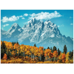 Puzzle 500 pezzi - Grand Teton in Fall