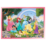 Puzzle Principesse 24 pezzi Double Face