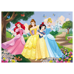 Puzzle Principesse 35 pezzi Double Face