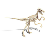 Velociraptor luminoso al buio Archeogiocando