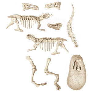 Velociraptor luminoso al buio Archeogiocando